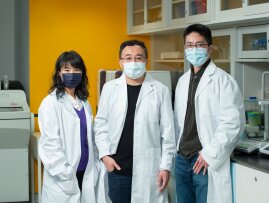 HKBU develops dual-targeting drug for EBV-related cancers