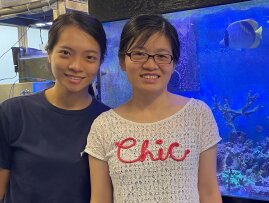 HKBU Biologists’ Research on Coral Species Featured by the RTHK Ecologist TV Programme