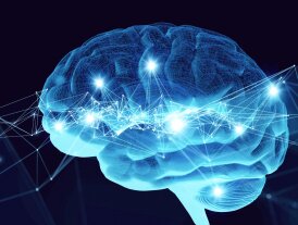 Interdisciplinary research at HKBU reveals stress related brain reconfiguration
