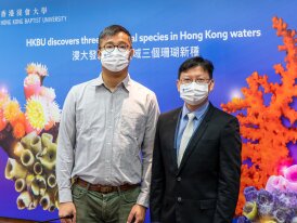 HKBU biologists discover three new coral species in Hong Kong waters