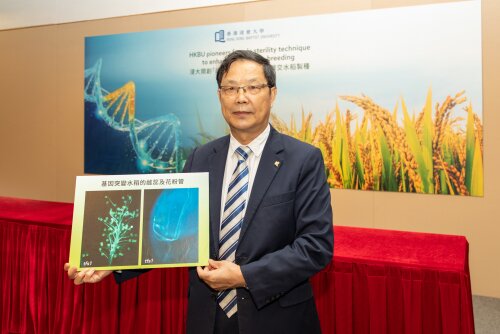 Prof ZHANG