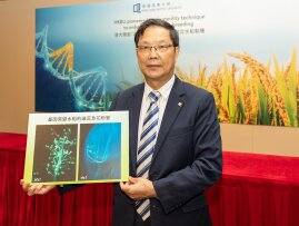 浸大领导研发「雌性不育」技术 提升杂交水稻制种效率