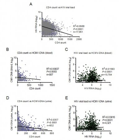 HCMV-DNA has inverse correlation with CD4 count and HIV-RNA copy number among HIV patients. 

