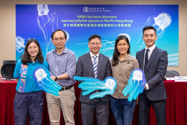 The research team is led by Professor Qiu Jianwen, a Professor of the Department of Biology at HKBU (middle). Other team members include Dr Carmen Or, Manager, Wetland Research, WWF-Hong Kong (2nd from right); Ms Ringo Cheung, Associate Animal Care Specialist, Ocean Park Hong Kong (1st from left); and Mr Justin Tsui, Graduate of the University of Manchester (1st from right). Mr Philip Wong, General Curator, Ocean Park Hong Kong (2nd from left) shares how the Park rears the jellyfish at the press conference.
