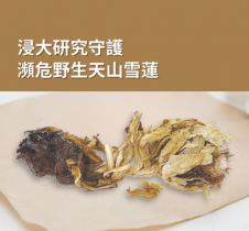 浸大研究守護瀕危野生天山雪蓮