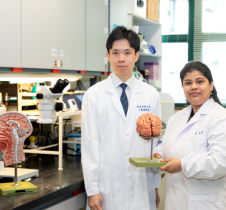 HKBU finds specific enzyme harmful to brain function, paving way for treatments targeting cognitive impairment and neurodegenerative diseases 
