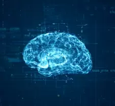 AI模型自动辨识与正常模型偏离的区域   识別脑部MRI异常
