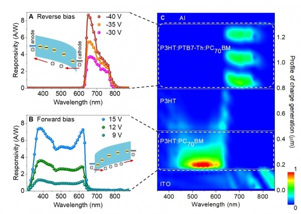 Near-infrared and visible light dual-mode organic photodetectors.