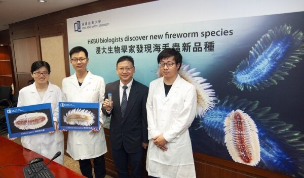 Professor Qiu Jianwen (second from right) and his team members Research Assistant Wang Zhi (second from left), Senior Research Assistant Zhang Yanjie (left) and Xie Yang discovered and named the new fireworm species.