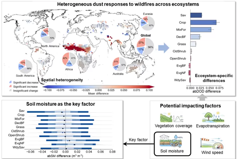 HKBU scientists solve wildfire puzzle: reveals why some burned lands become dust storms while others do not