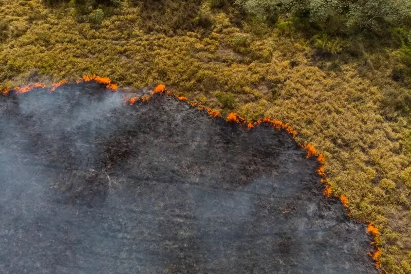 HKBU scientists solve wildfire puzzle: reveals why some burned lands become dust storms while others do not