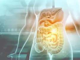 浸大与合作团队发现可抑制自身免疫性葡萄膜炎的肠道衍生分子