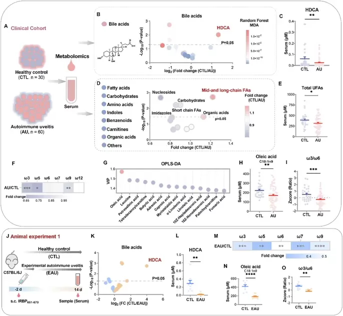 HKBU research discovers gut-derived molecule that suppresses Autoimmune Uveitis