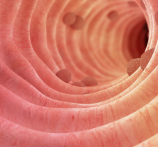 HKBU researchers uncover herbal compound "Icariin" as key to boosting cancer immunotherapy via gut microbiota