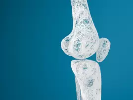 HKBU’s latest research identifies potential therapeutic target for safer osteoporosis treatment