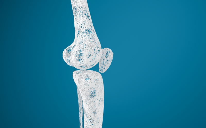 HKBU’s latest research identifies potential therapeutic target for safer osteoporosis treatment