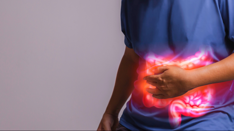 HKBU researchers identify gut bacteria-produced metabolites provide a new therapeutic strategy for IBS-D with insulin resistance