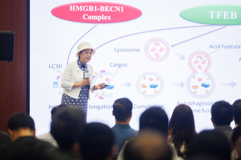 From Nobel-winning autophagy science to Chinese medicine: HKBU explores new frontiers in treating brain diseases