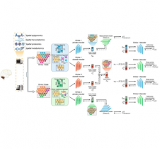Revolutionising spatial multi-omics: HKBU's Computer Science disentangles complex biological data