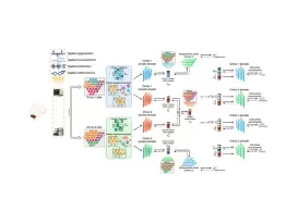 空間多組學技術新突破：浸大計算機科學系成功解構複雜生物數據