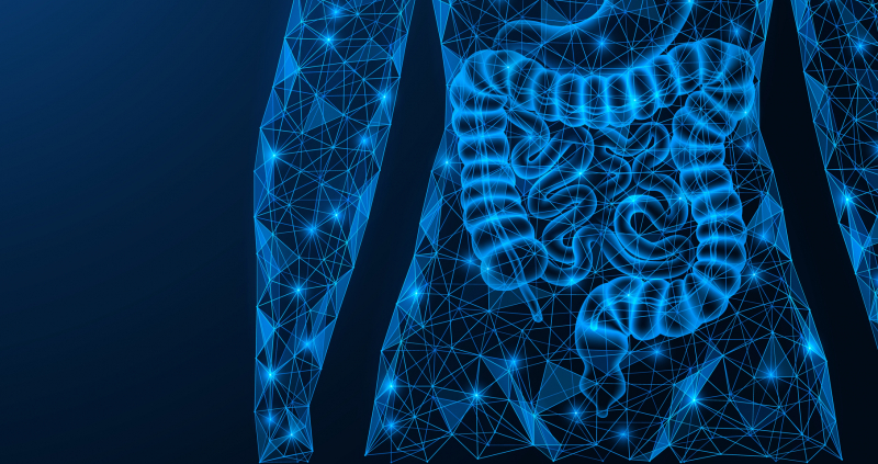 HKBU multidisciplinary research team  discovers population-specific patterns in the human gut microbiome