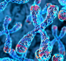 Innovative TRAFICA model from HKBU transforms transcription factor binding analysis
