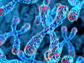 Innovative TRAFICA model from HKBU transforms transcription factor binding analysis