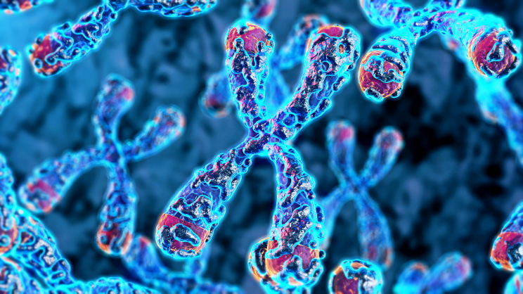 Innovative TRAFICA model from HKBU transforms transcription factor binding analysis